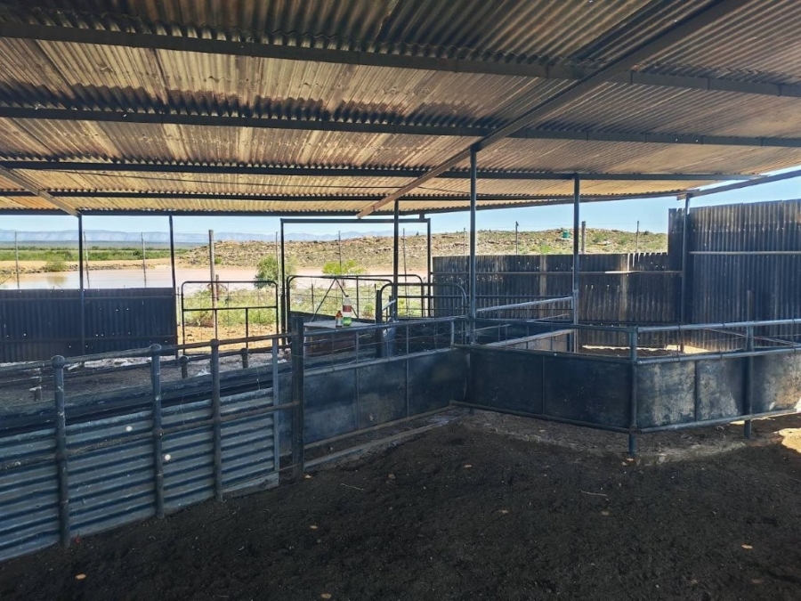5 Bedroom Property for Sale in Steytlerville Eastern Cape